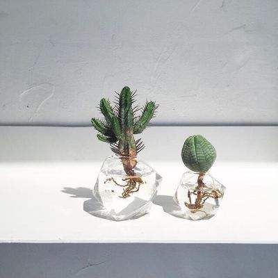 博鱼app手机app下载